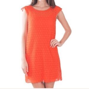 BLACK SWAN CROCHET DRESS